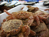 魚河岸 海鮮屋2