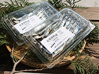 マリン商会 魚市コーナー