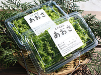 マリン商会 魚市コーナー