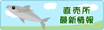 直売所最新情報